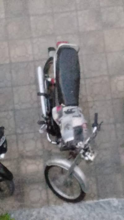 03136809704 whatsap