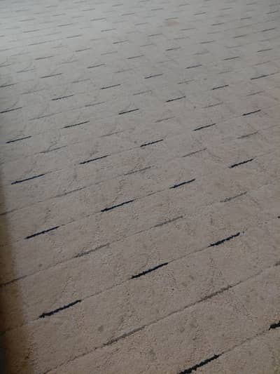 carpet in good conditioned