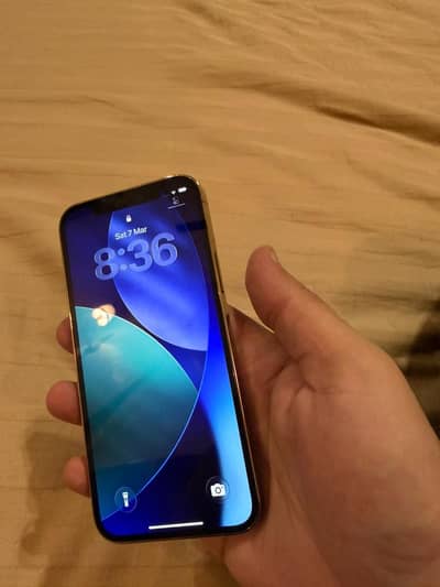 Apple iPhone 12 Pro