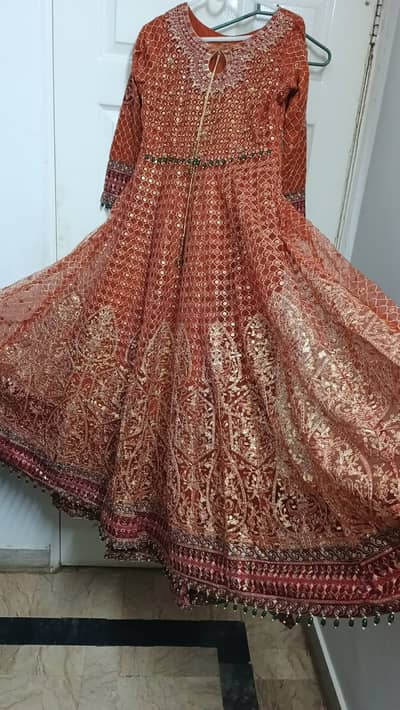 Luxury Party Wear- Rust color- Elegant