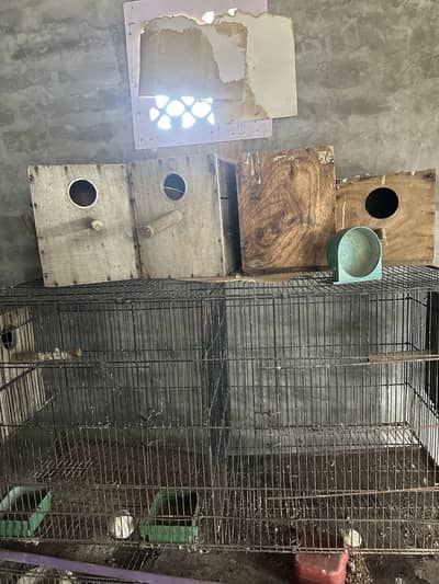 Love bird cages