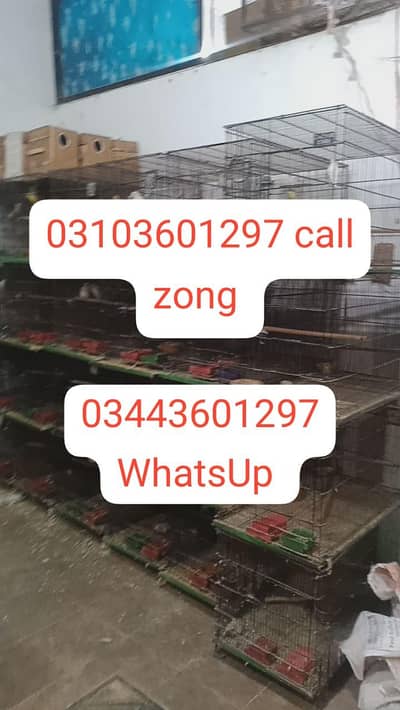 love bird cages for sale VIP cages Hai