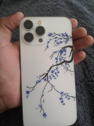 Apple iPhone 13 Pro Max