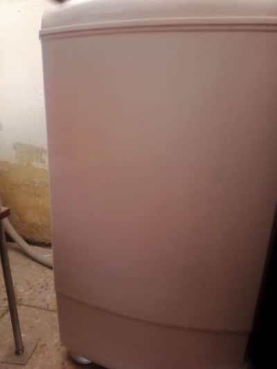 Spin dryer
