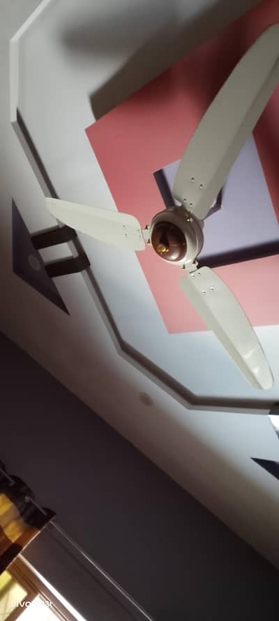 celling fan