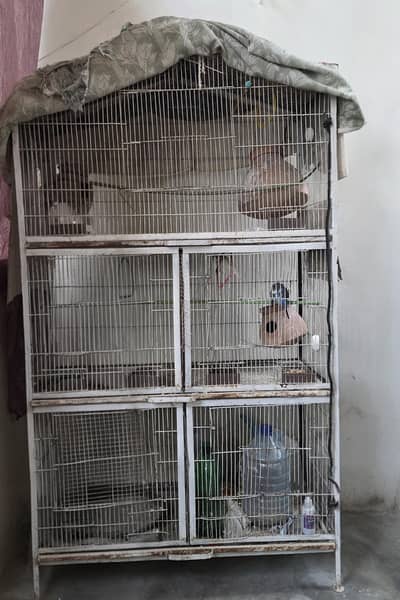 Big Cage For Sale