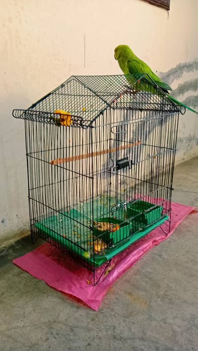 small cage for sale