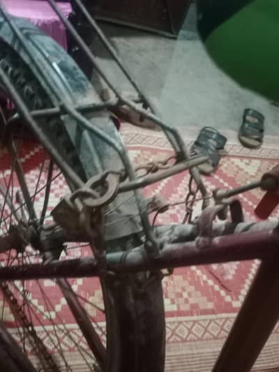 PHOENIX CYCLE 4 SALE