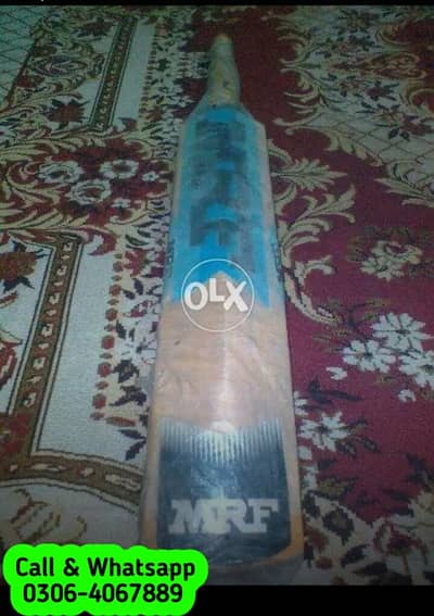 Sailkot Bat cricket for cricket players, football helmet