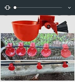 Automatic drinkers and feeders avalable hen whole sale price pe