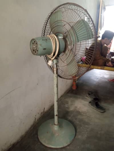 Pedestal Fans