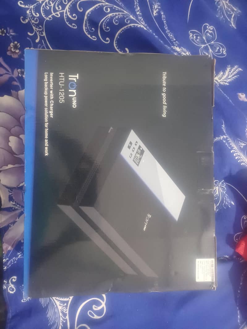 ups + battery 2