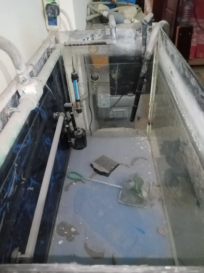 42 Gallons Fish Aquarium for Sale — photo 5