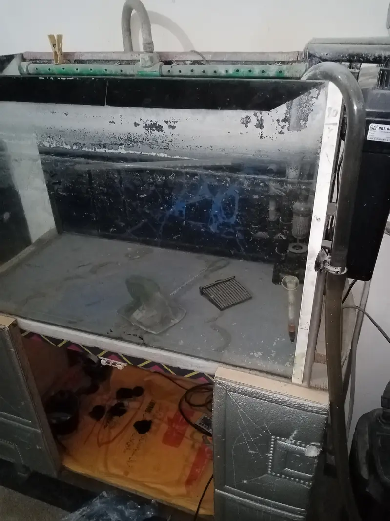 42 Gallons Fish Aquarium for Sale — photo 6
