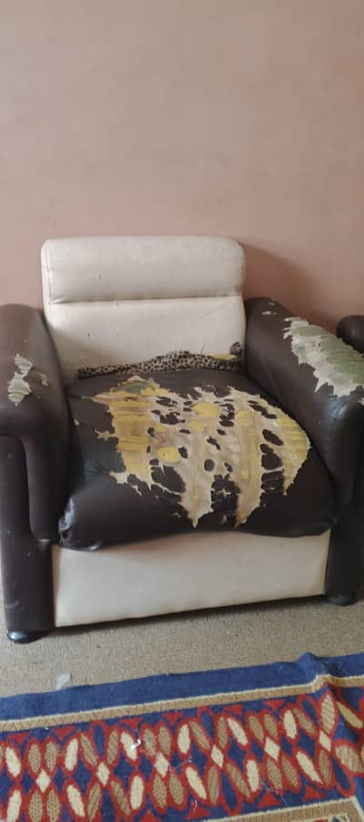 sofa set for seal .