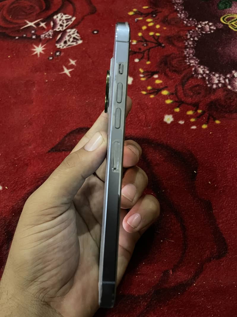 iphone 13 pro max 0