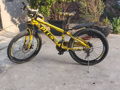 Plus made 24" bicycle in normal condition