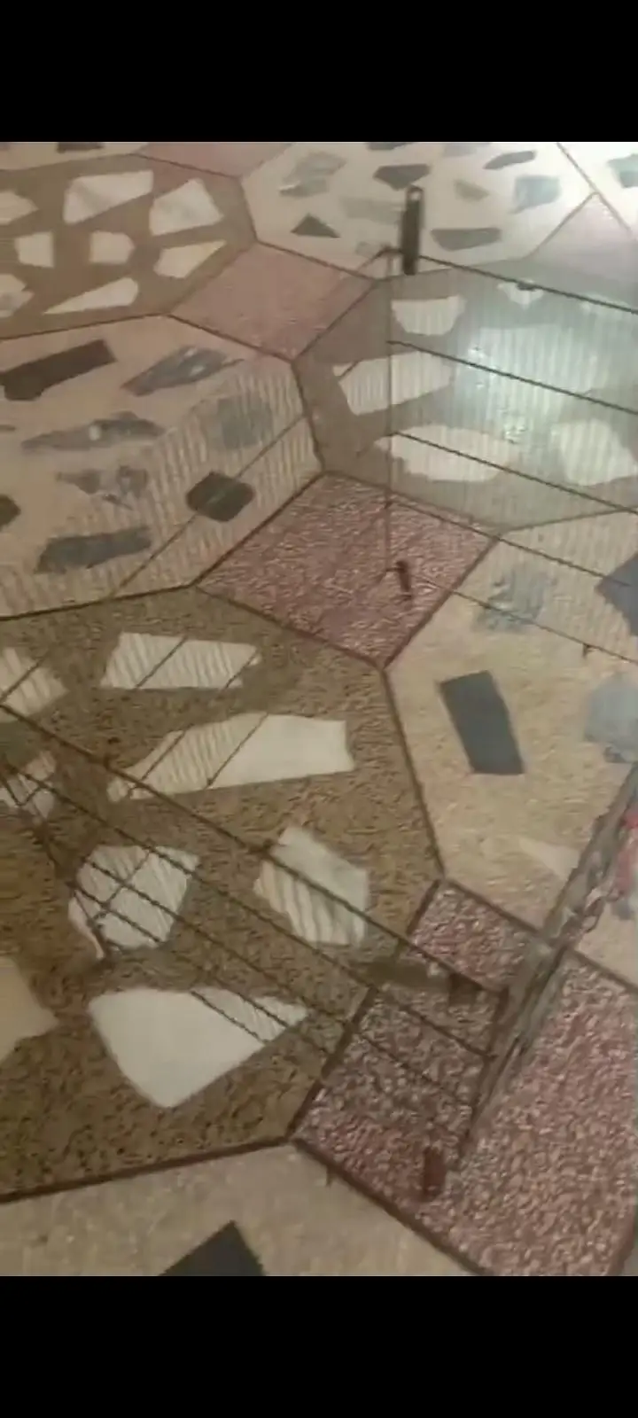4 tier cage — photo 2
