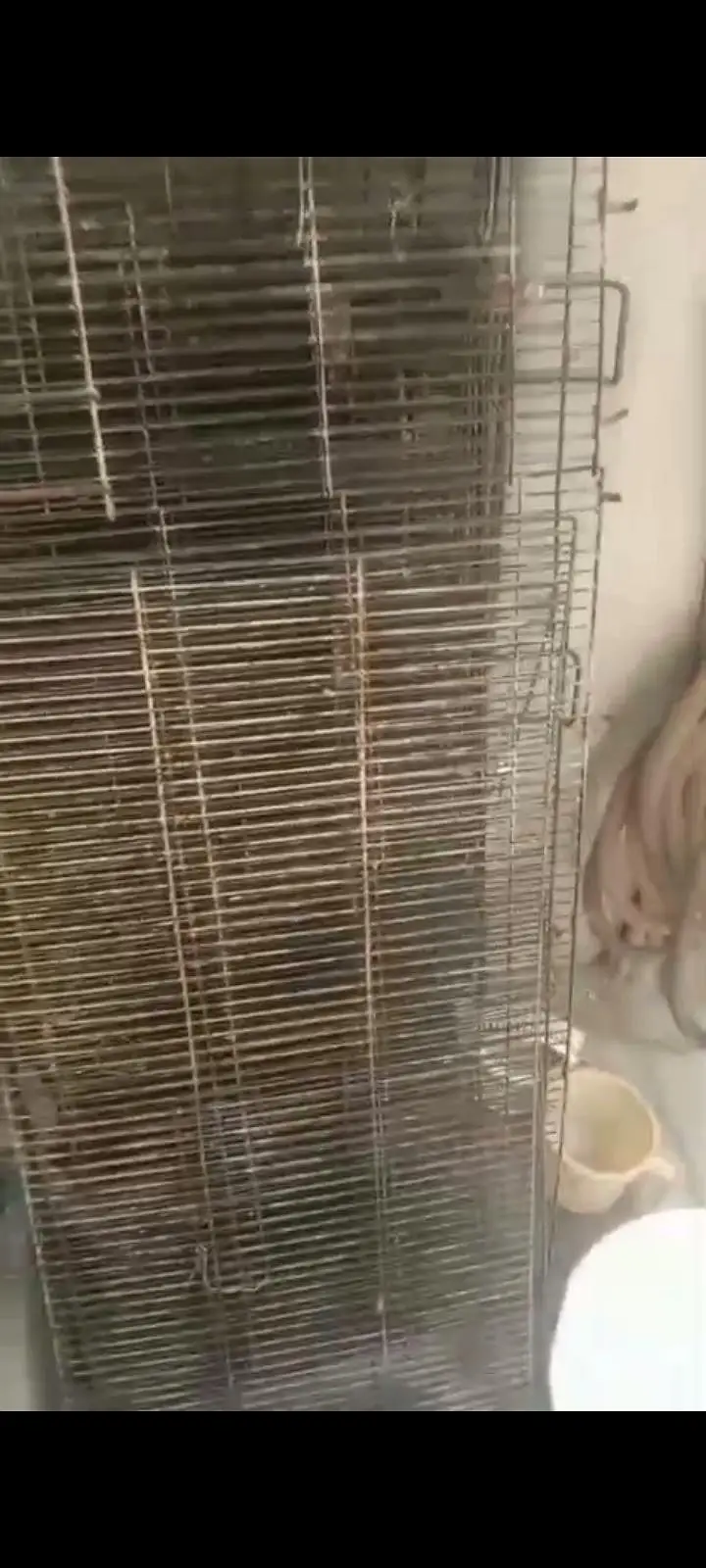 4 tier cage — photo 5