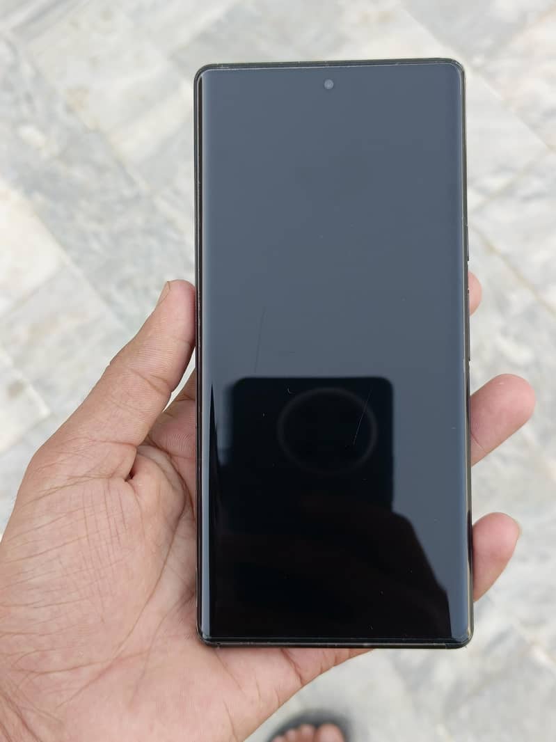 Google Pixel 6 Pro 1
