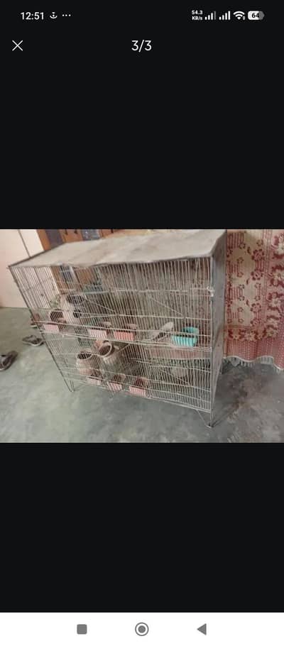 Birds Cages