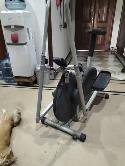 Exercise Cycle