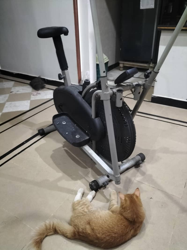 Exercise Cycle 2