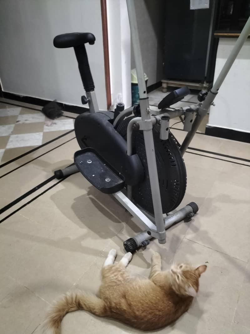 Exercise Cycle 3