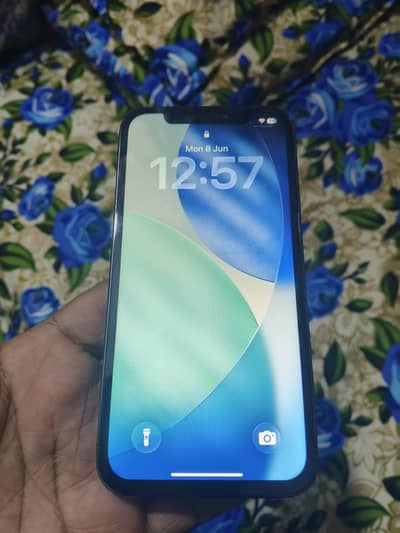 Apple iPhone 12 Pro