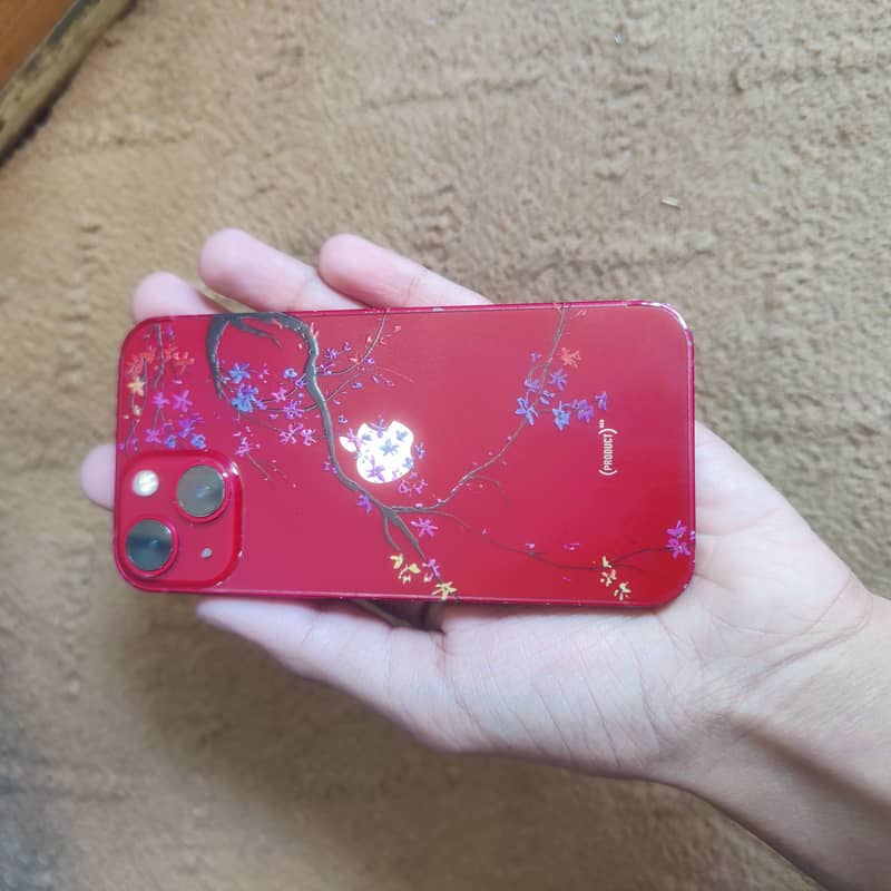Apple iPhone 13 mini 1