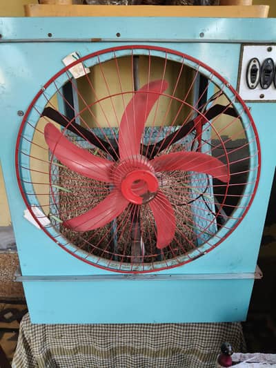 solar cooler