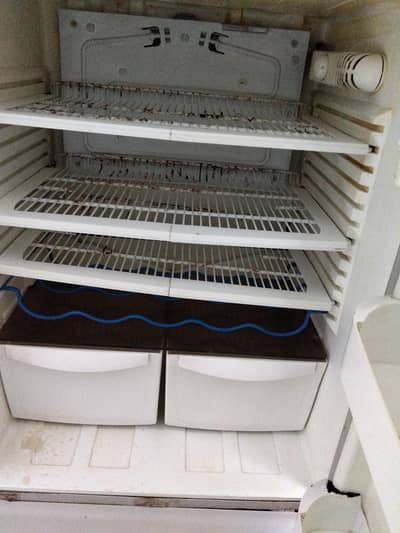 pel medium size freezer