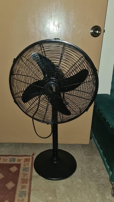 ghosia fans