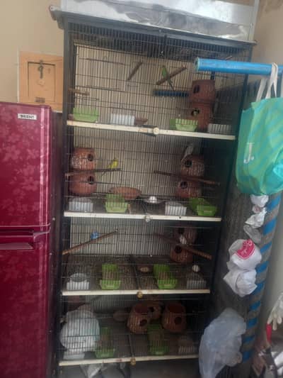 parrots cage all accessoreis