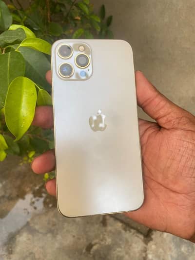Apple iPhone 12 Pro Max