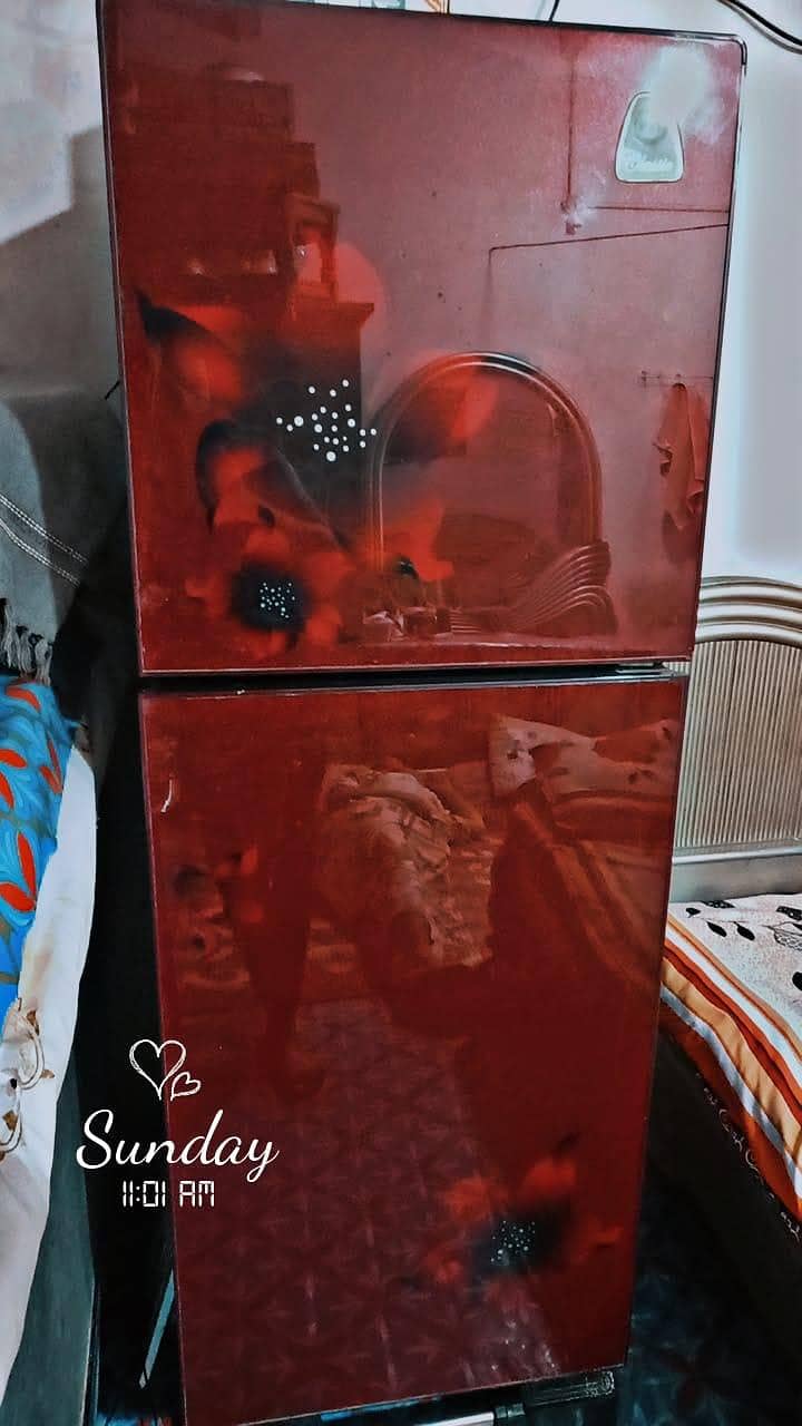 Pel freezer 1