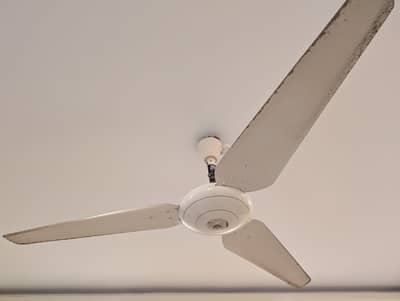 Milla Fan - Cieling