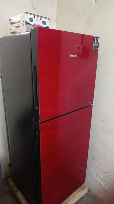 Haier Glass Door Fridge (Red)
