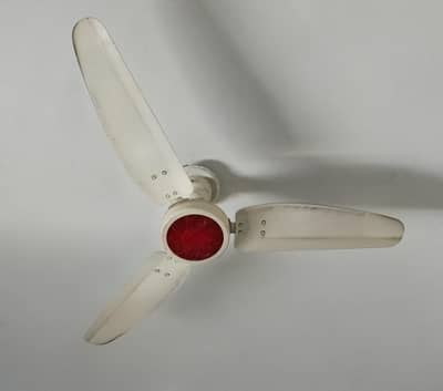 ceiling fans