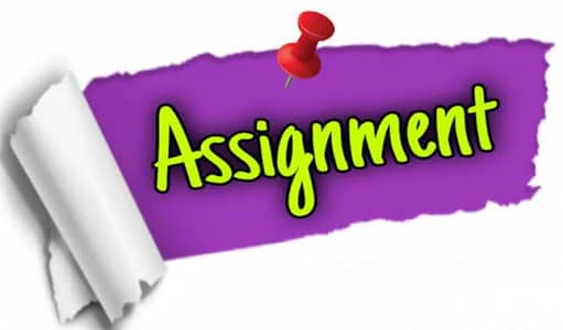 jis ne online assignment likhwne Hy to mujhse rbta kre