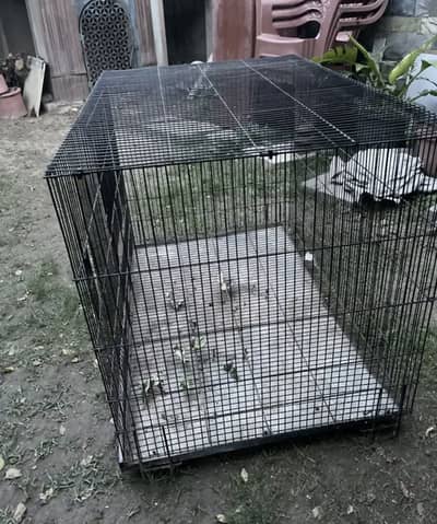Cage 2 x 3