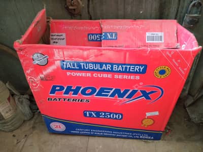 Phoenix TX-2500, April 2024, 12v 230Ah Tall Tubular, Deep Cycle, 63Kg