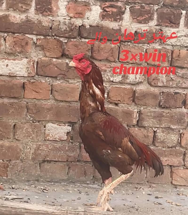 03225910895 0