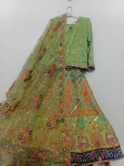 Light green Lehnga choli with beautiful printed dupatta | Mayon dress