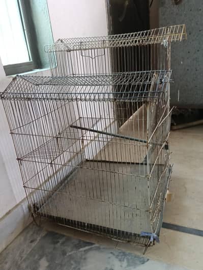 Parrot Cage for used