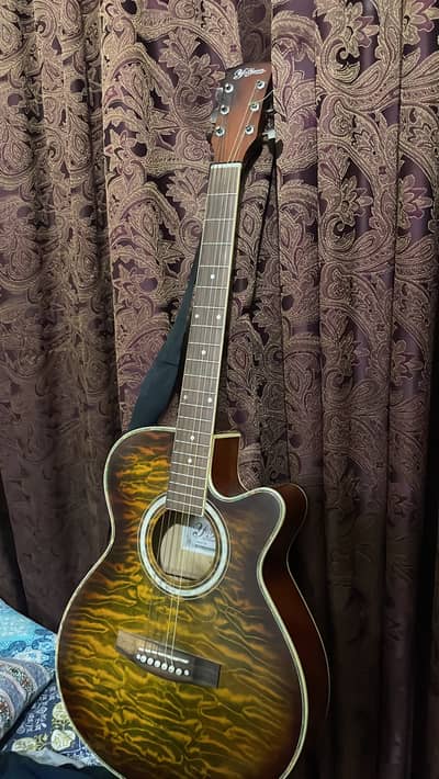Guitar