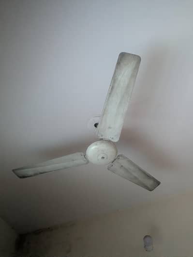 fan in working condition