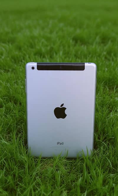 ipad mini2