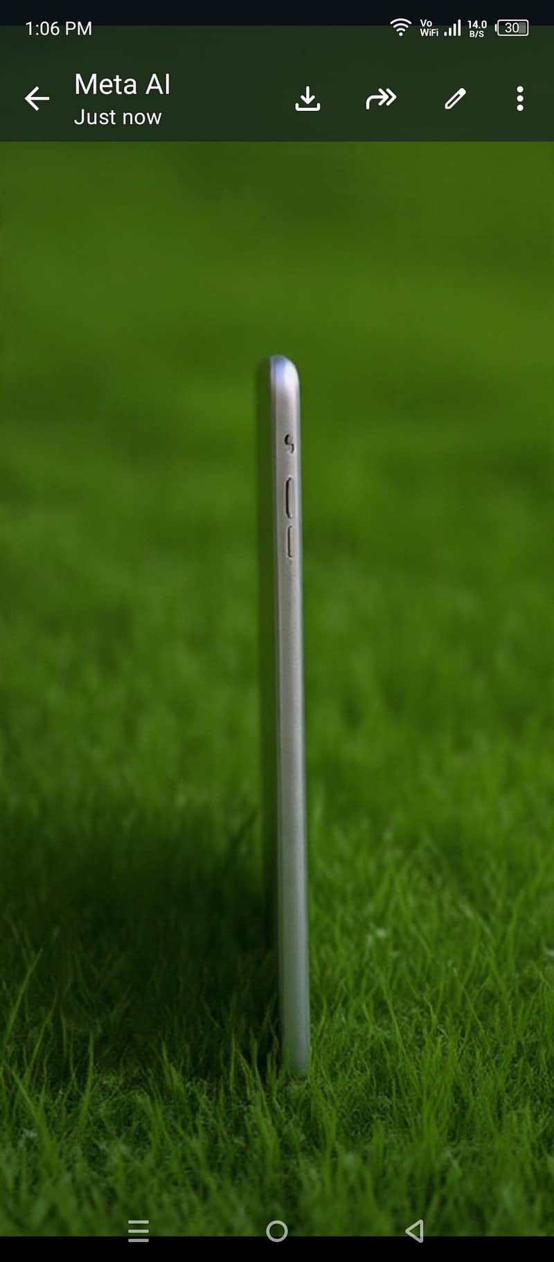 ipad mini2 2