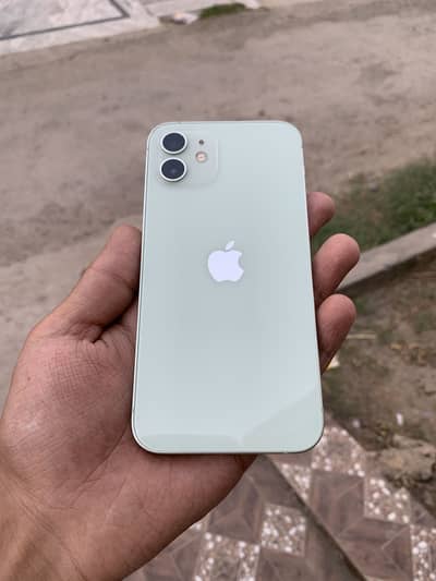 Iphone 12 Official Dual PTA Approved
